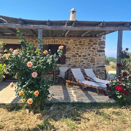 Вилла The Stone House Potamos  Экстерьер фото