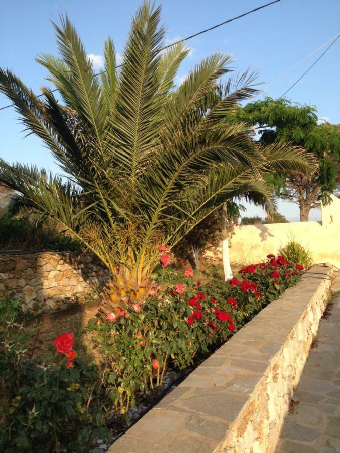 Вилла The Stone House Potamos  Экстерьер фото