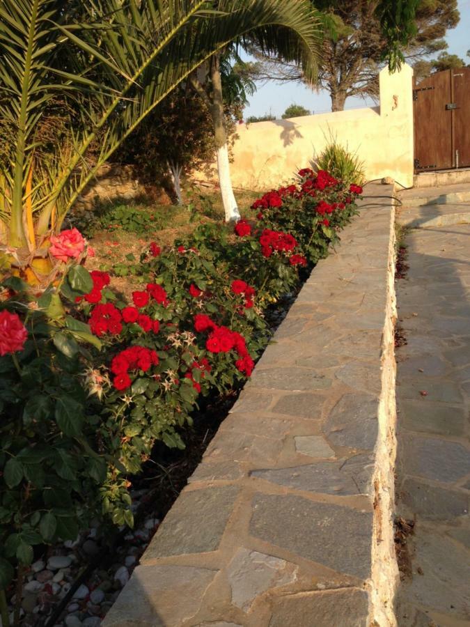 Вилла The Stone House Potamos  Экстерьер фото